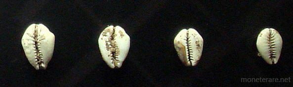 Muscheln als Münze in China